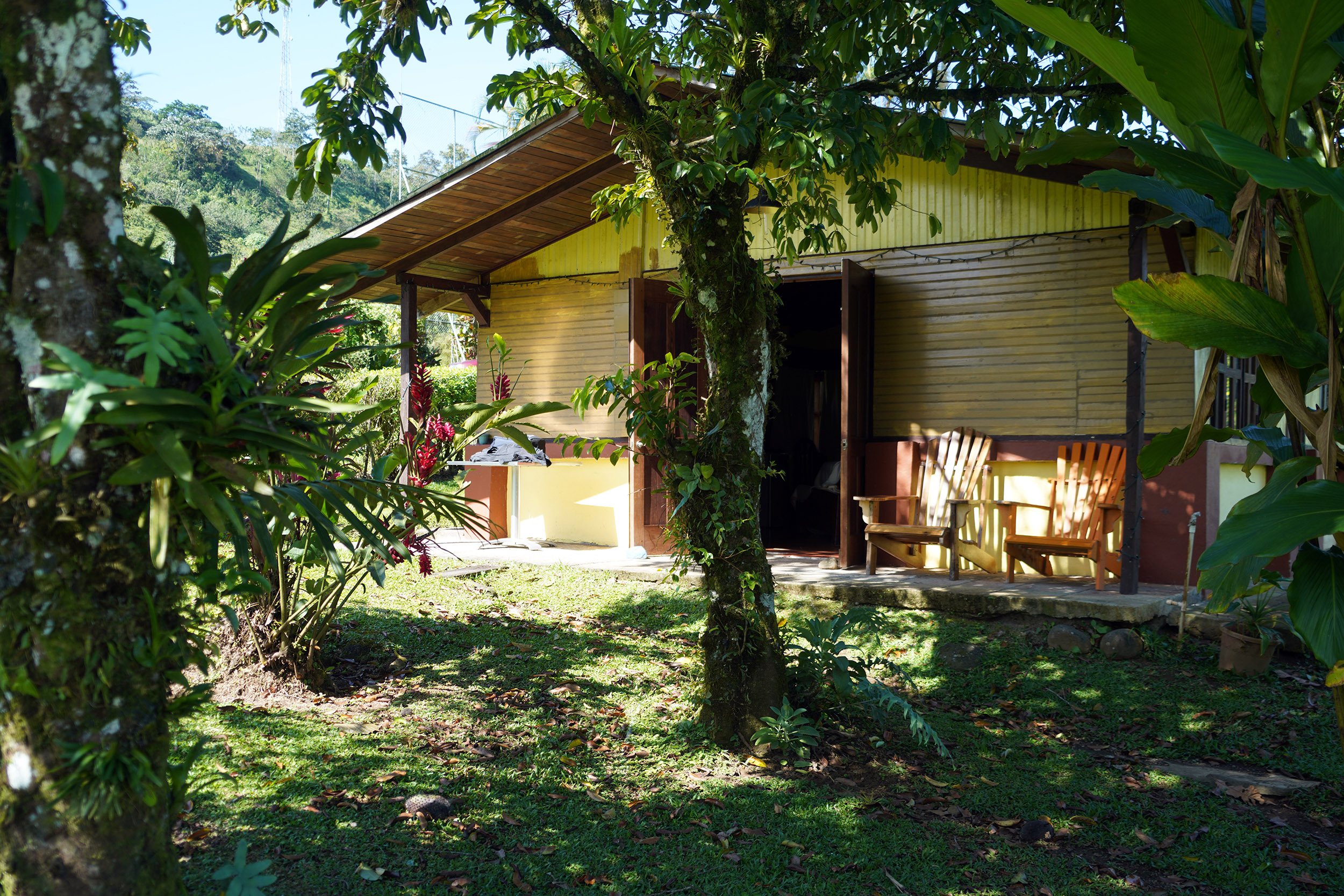 Costa Rica - Février 2025